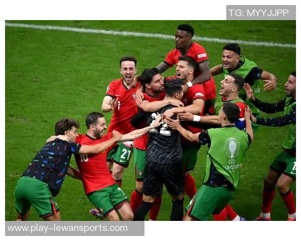 2012年欧洲杯小组赛葡萄牙对决荷兰精彩回顾与战术分析 2012年欧洲杯小组赛葡萄牙对决荷兰精彩回顾与战术分析